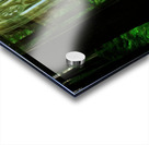 The Forest Vale Ruins Acrylic print