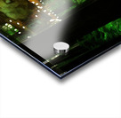 The Forest Vale Carousel Acrylic print