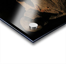 Terracotta Warrior Detail 2 Acrylic print