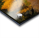 Hope Valley Aspens with Shrubs Acrylic print