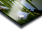 Dock in Decay Acrylic print