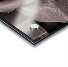 Anchor Chain Link Acrylic print