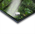 Waterfall off Columbia River Acrylic print