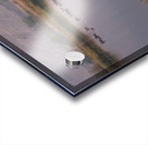 Geese Taking Off-Cool Acrylic print