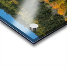 Golden Tree Line Acrylic print