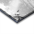 Stag in a field Acrylic print