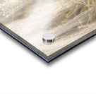 Japanese Silver Grass Acrylic print