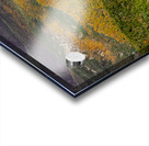 Golden Valley Acrylic print