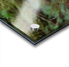 Close Encounter Acrylic print