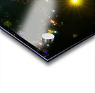 Chickenfoot Acrylic print