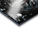 Wome in Black Acrylic print