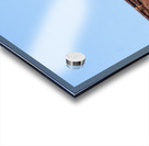 Delicate Arch Panorama Acrylic print