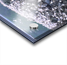 1st among equals Acrylic print