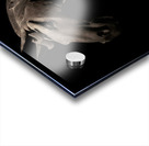 Terracotta Horse Acrylic print