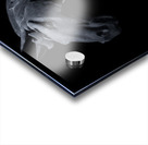 Terracotta Horse B&W Acrylic print