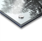 Birds in UK Acrylic print