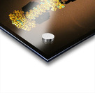 Dagger Acrylic print