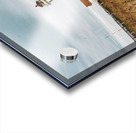 Port Townsend Lighthouse Acrylic print