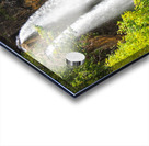 Wild Kauai - 2016 Gallery Artwork of the Year - Portrait-Natural - Waterfall  Acrylic print