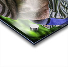 One Arm Acrylic print