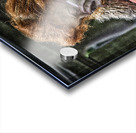 red head Acrylic print