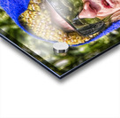 woman looking up Acrylic print