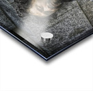 renaissance man Acrylic print