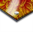 pumpkin yellow Acrylic print