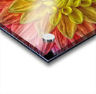 carnival Acrylic print