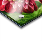 the hidden Acrylic print