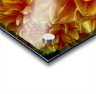 shiffon Acrylic print