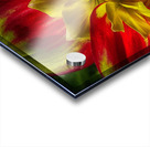 victorian lady Acrylic print