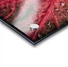 Red Leaf Acrylic print