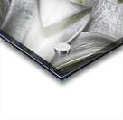 lily Impression Acrylique