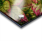 color leaves 2 Acrylic print