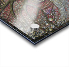 shell one Acrylic print