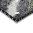 knocker Acrylic print