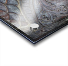 breastplate Acrylic print