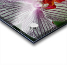 flower nine Acrylic print