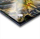 flower seven Acrylic print