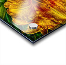 flower four Acrylic print