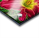 flower three Acrylic print