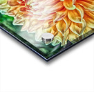 flower ten Acrylic print