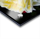 Rose Garden Portland 3 Acrylic print