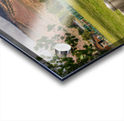 Horse Pasture  Acrylic print