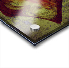 Hard Love Acrylic print