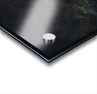 Post Apocalyptic  Acrylic print