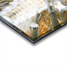 La Sagrada Familia Acrylic print