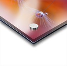 Two Worlds by Juliana Nan  Acrylic print