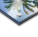 Palm Tree and Sun Star Acrylic print